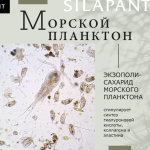 Лифтинг-сыворотка для кожи вокруг глаз силапант