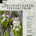 Лифтинг-сыворотка для кожи вокруг глаз силапант