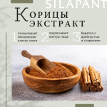 Silapant Крем д/лица ночной лифтинг-восстановление с пантогематогеном туб. 50 мл пач. картон.1